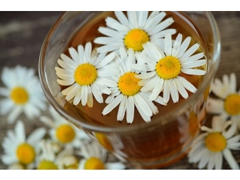 ◆ブログ◆花粉症対策に良い飲み物と食べ物